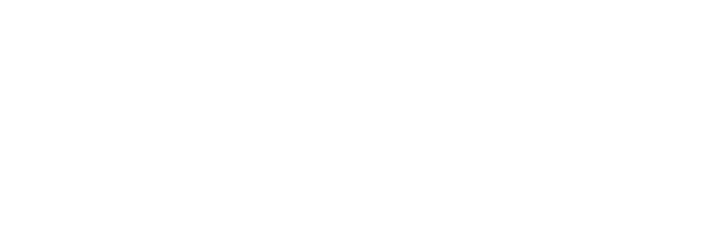 next level educate logo