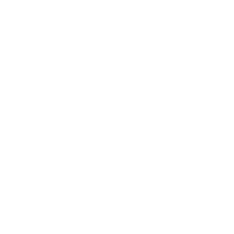 nl english academy logo english tutoring