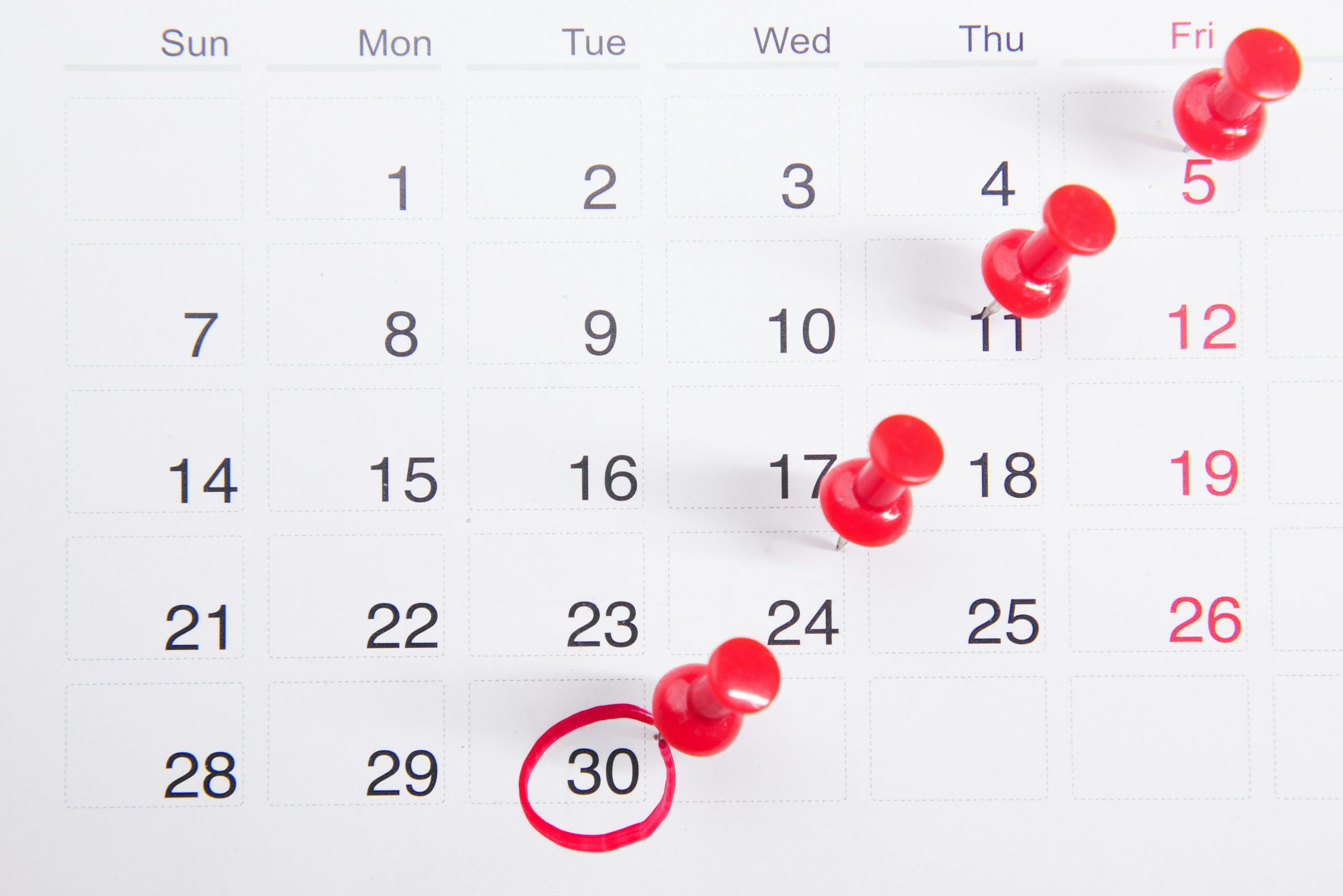 calendar for social media for tutors