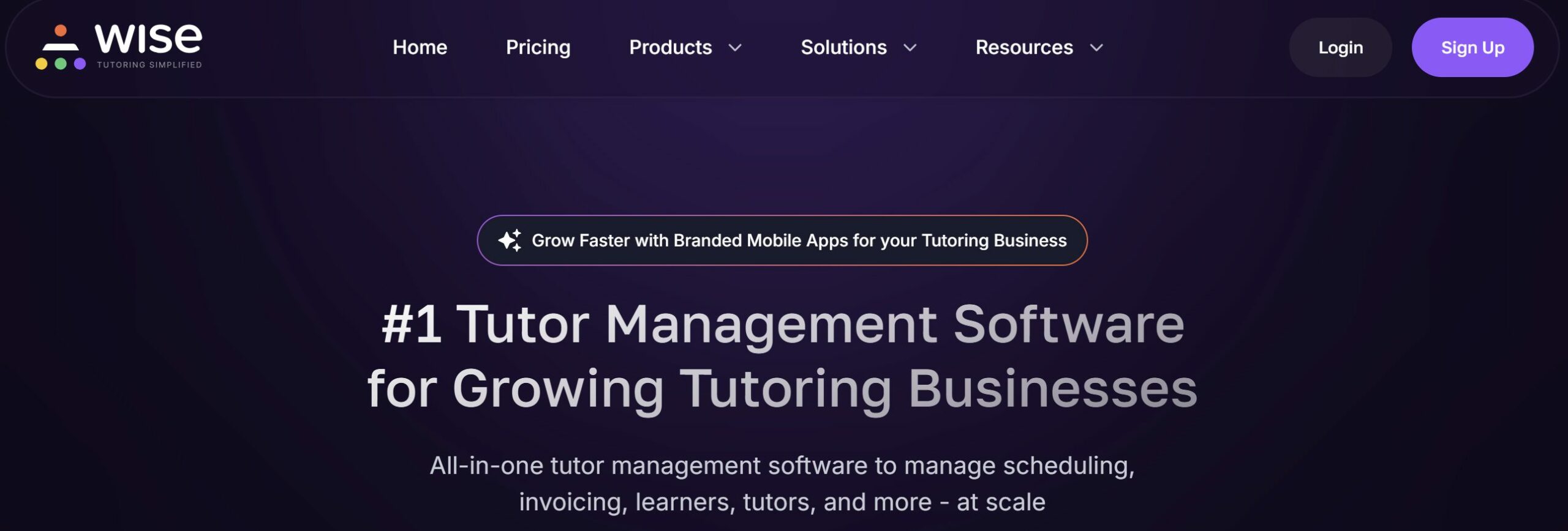 Wise website screenshot